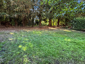 Photo 23- click for photo gallery